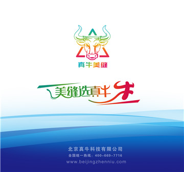 真牛美縫告訴你；灰磚美縫什么顏色好看！ 